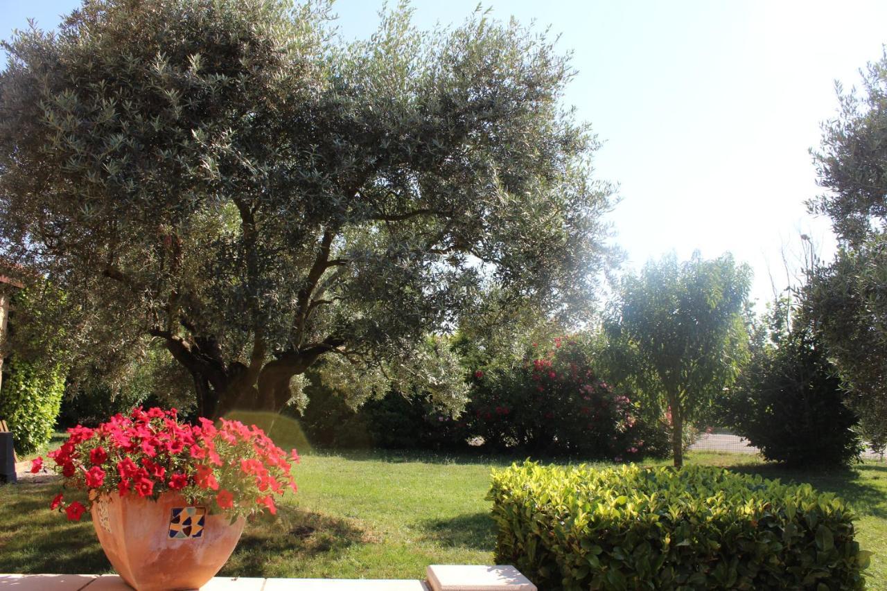 Logis La Grande Bastide Hotel Oraison Luaran gambar